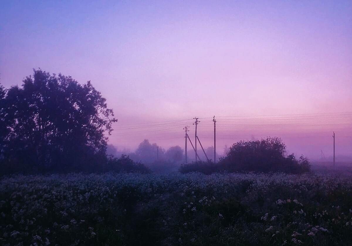 蘑菇影视在线观看盘点：真相9个隐藏信号，圈内人上榜理由罕见令人出乎意料