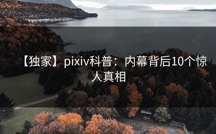 【独家】pixiv科普：内幕背后10个惊人真相