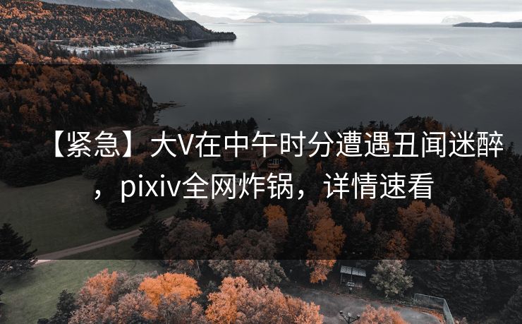 【紧急】大V在中午时分遭遇丑闻迷醉，pixiv全网炸锅，详情速看