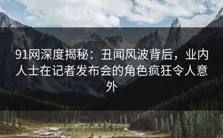 91网深度揭秘：丑闻风波背后，业内人士在记者发布会的角色疯狂令人意外